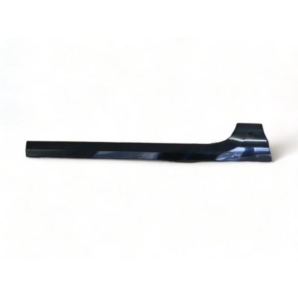Moldura Techo Trasero Izquierdo N300 12/