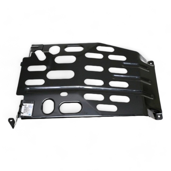 Protector Carter             Celta 01/